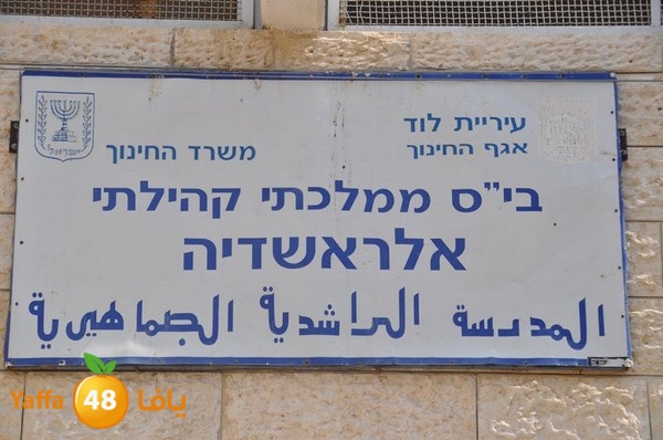 rashidiya sports day 627 (12).JPG